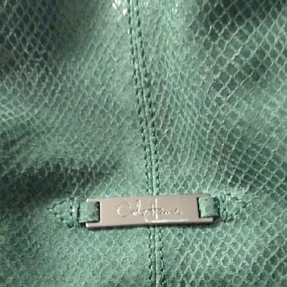 Cole Haan Shiny Green Shoulder Bag - Picture 2 of 8